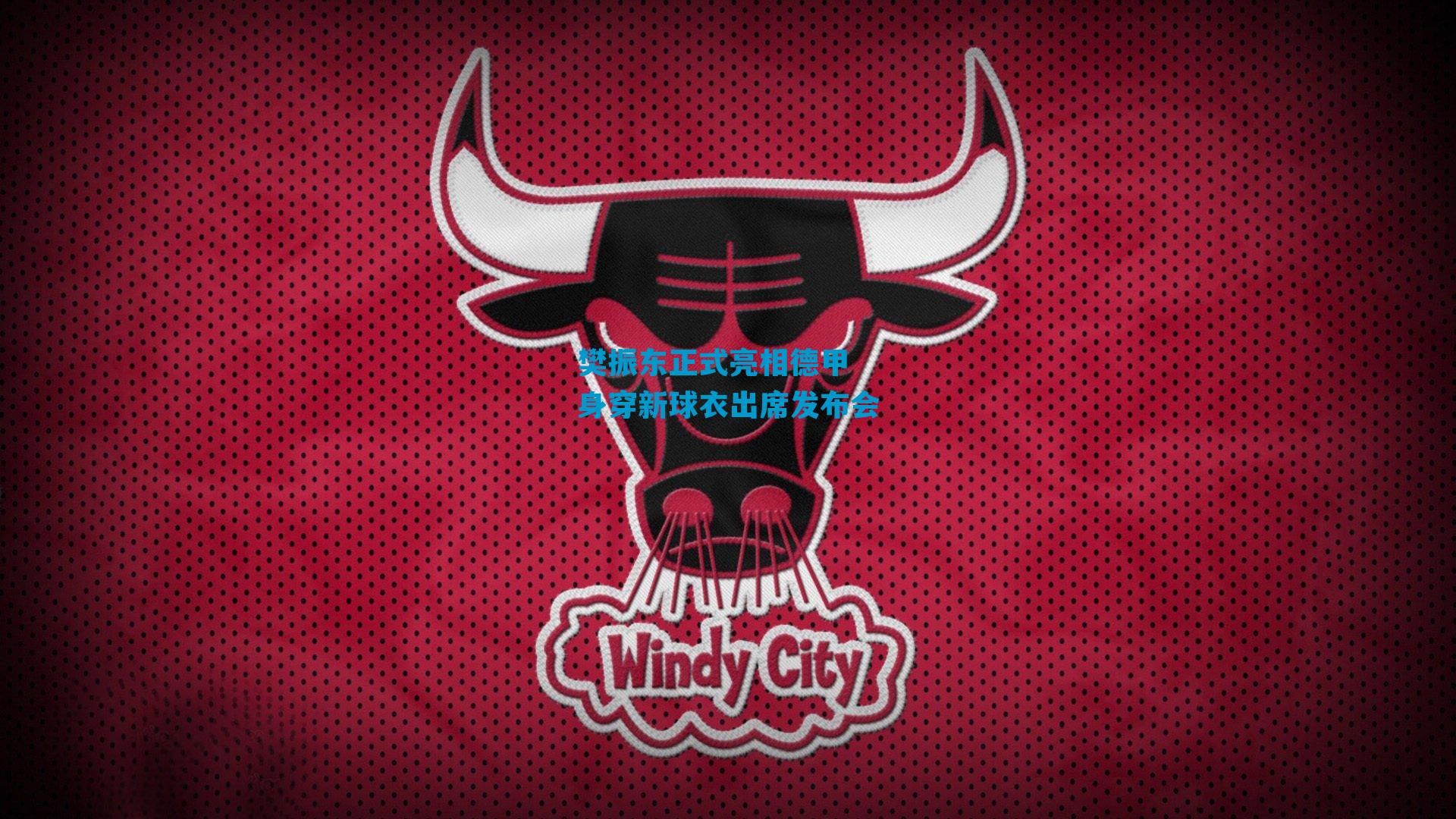 樊振东正式亮相德甲 身穿新球衣出席发布会