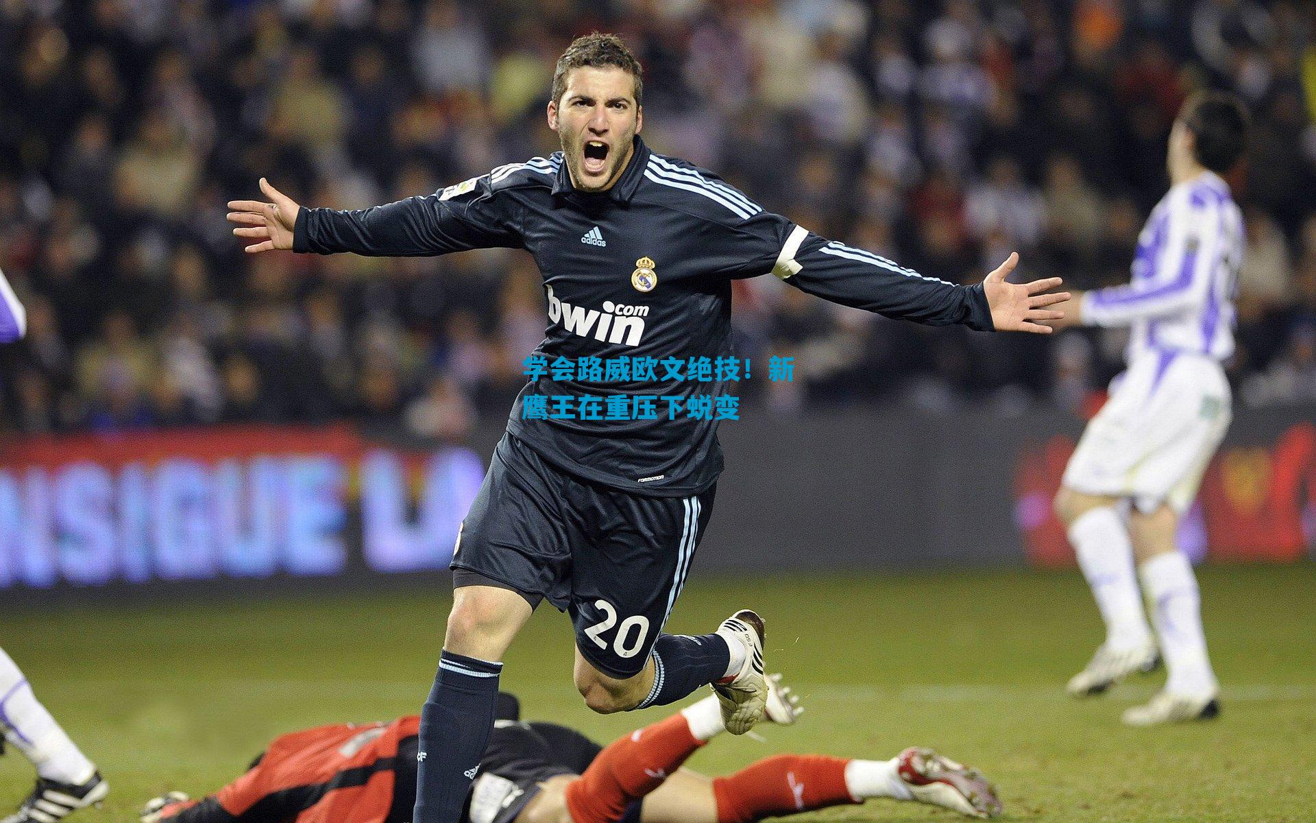 学会路威欧文绝技！新鹰王在重压下蜕变